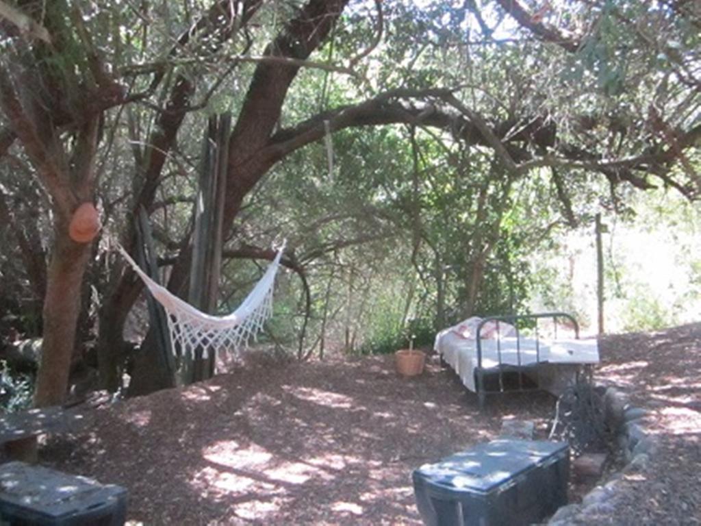 Cabana De Adobe En Lago Rapel Værelse billede